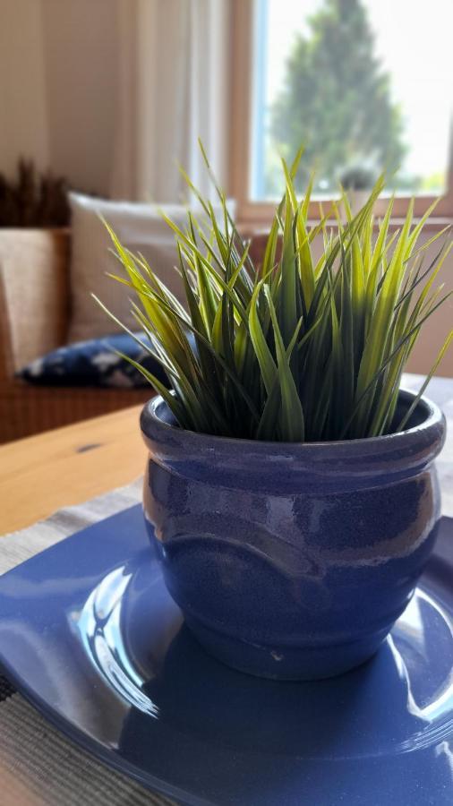 Strandvilla Marius Koserow Zewnętrze zdjęcie